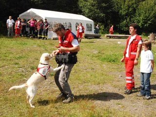 2009-08-23_ntb_7136