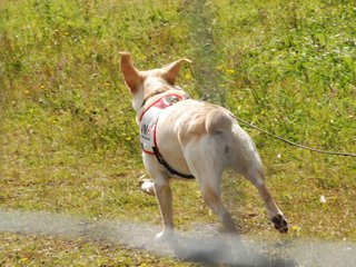 2009-08-23_ntb_7139