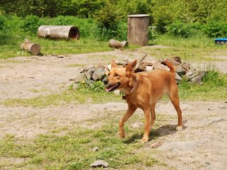 2010-06-04_ntb_0248