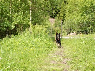 2010-06-04_ntb_0249