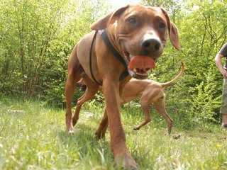 2010-06-04_ntb_0254