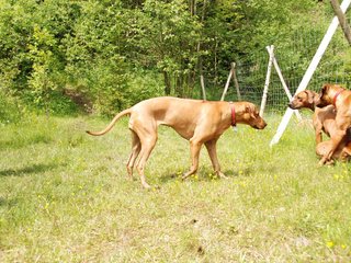 2010-06-04_ntb_0255