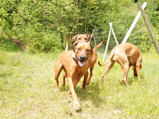 2010-06-04_ntb_0257