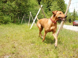 2010-06-04_ntb_0259
