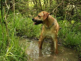 2010-06-04_ntb_0268