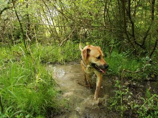 2010-06-04_ntb_0272