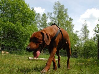 2010-06-04_ntb_0273