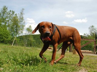 2010-06-04_ntb_0274