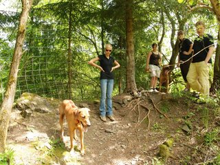 2010-06-04_ntb_0278