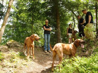 2010-06-04_ntb_0279