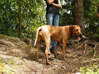 2010-06-04_ntb_0282