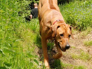2010-06-04_ntb_0283