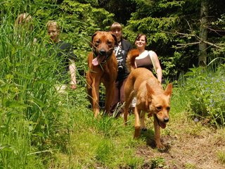 2010-06-04_ntb_0284