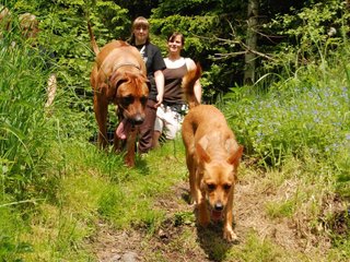 2010-06-04_ntb_0285
