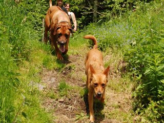 2010-06-04_ntb_0286