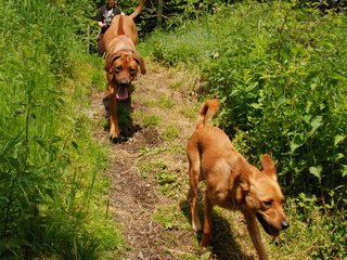 2010-06-04_ntb_0287