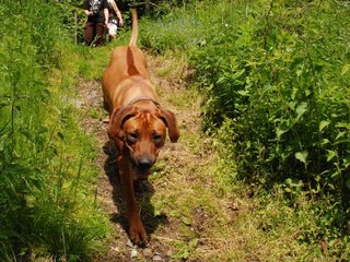 2010-06-04_ntb_0288