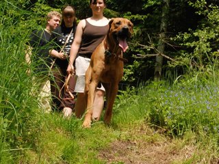 2010-06-04_ntb_0290