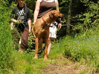 2010-06-04_ntb_0291