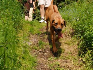 2010-06-04_ntb_0292