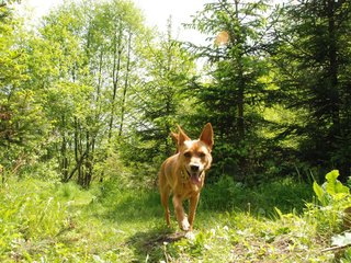 2010-06-04_ntb_0295