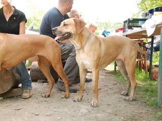 2010-06-04_ntb_0298