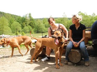 2010-06-04_ntb_0299