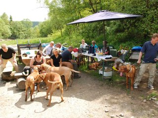 2010-06-04_ntb_0303