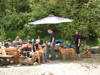 2010-06-04_ntb_0305