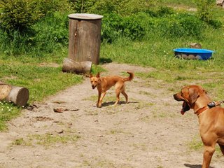 2010-06-04_ntb_0307