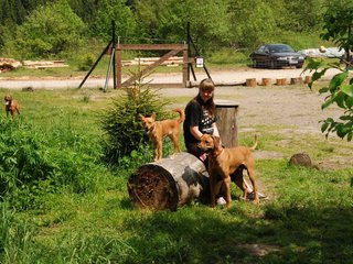 2010-06-04_ntb_0308