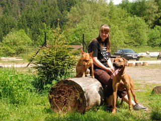 2010-06-04_ntb_0310