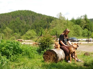 2010-06-04_ntb_0315