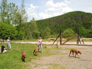 2010-06-04_ntb_0316