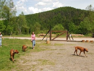 2010-06-04_ntb_0317