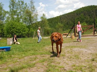 2010-06-04_ntb_0318