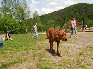 2010-06-04_ntb_0319