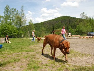 2010-06-04_ntb_0320