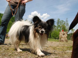 2010-06-04_ntb_0321