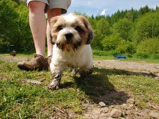 2010-06-04_ntb_0323