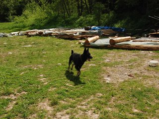 2010-06-04_ntb_0324
