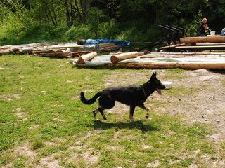 2010-06-04_ntb_0325