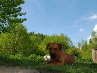 2010-06-04_ntb_0327