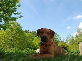 2010-06-04_ntb_0328