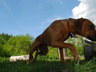 2010-06-04_ntb_0329