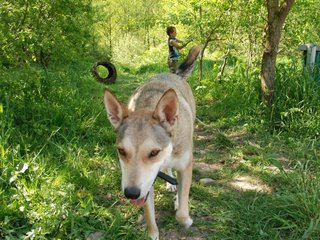 2010-06-04_ntb_0331