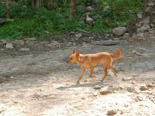 2010-06-04_ntb_0332