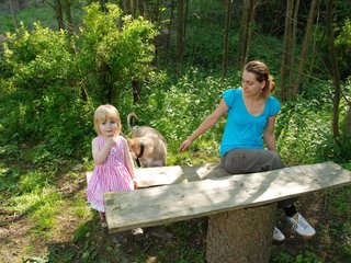 2010-06-04_ntb_0334