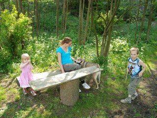 2010-06-04_ntb_0335