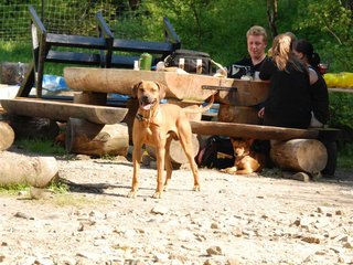 2010-06-04_ntb_0339